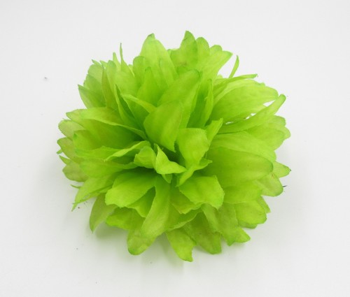 0ne ladies flower - ladies, hair